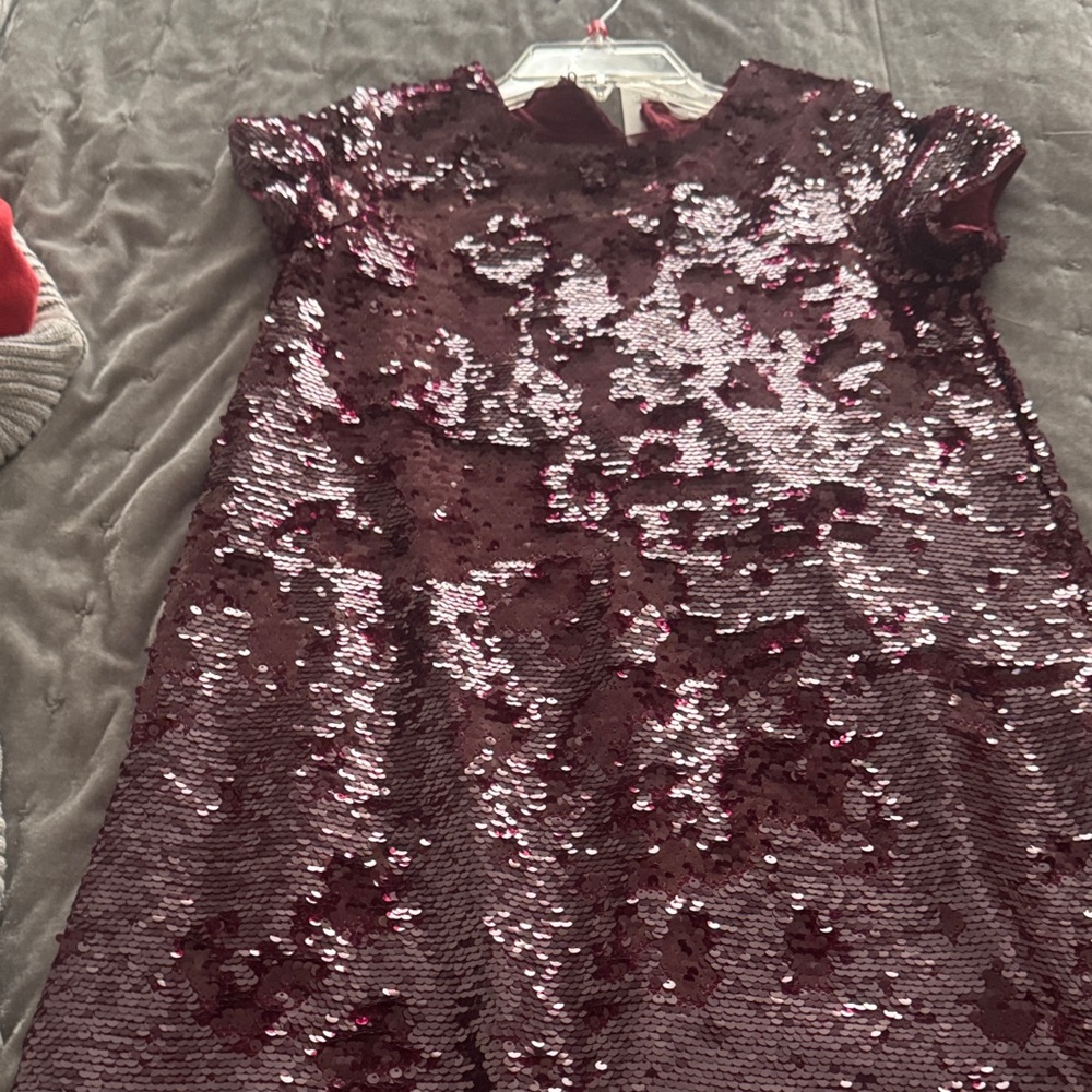 Zara Burgundy Sequin dress